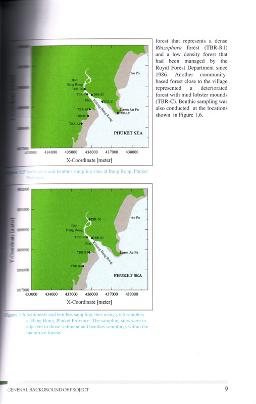 Tsunami Impact on Mangrove Ecosystems - aus dem Buch